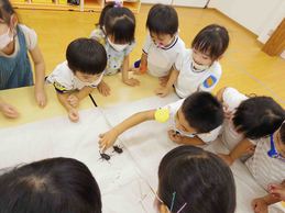 日常の様子　1学期　さくら組