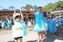 運動会　[たんぽぽ・つぼみ組]