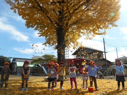 11月　日常の様子