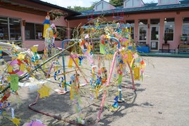 さくら組　七　夕